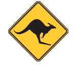 Gold Coast Skippycoin ICG Gold Coast Skippycoin ICG
